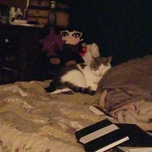 Meet your Posher, Britney